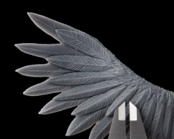 3D printed model bird wing showing fine detail